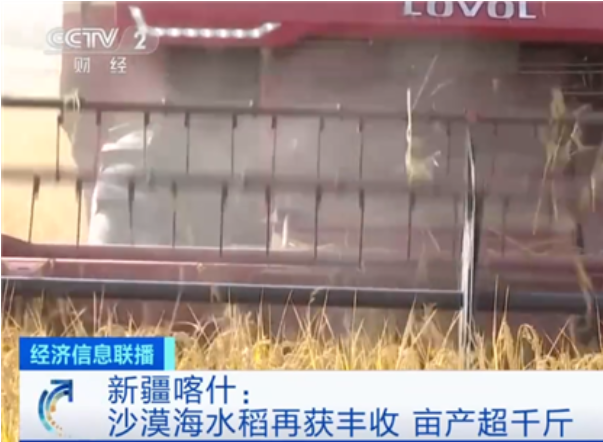 畝產(chǎn)超千斤.png 畝產(chǎn)超千斤.png