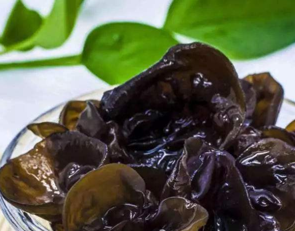 木耳.png 木耳.png