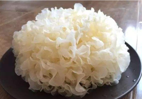 銀耳.png 銀耳.png