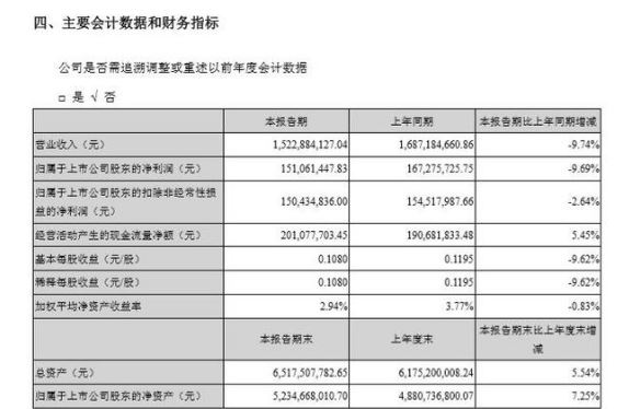 佛山照明财务报表.JPG