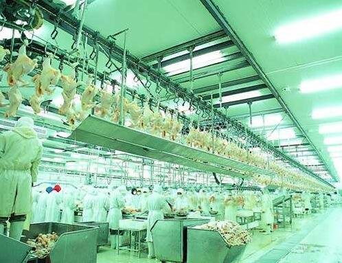 冷鏈?zhǔn)称穬Υ?jpg 冷鏈?zhǔn)称穬Υ?jpg