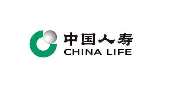 「与牛共舞59800」中国人寿保险投资项目有哪些,中国人寿是家什么样的