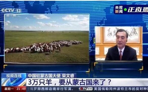 3萬(wàn)只羊要從蒙古國(guó)來(lái)了.jpg 3萬(wàn)只羊要從蒙古國(guó)來(lái)了.jpg