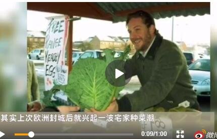 歐洲封城后興起宅家種菜潮.jpg 歐洲封城后興起宅家種菜潮.jpg