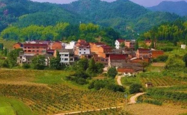 扶貧項目.jpg 扶貧項目.jpg