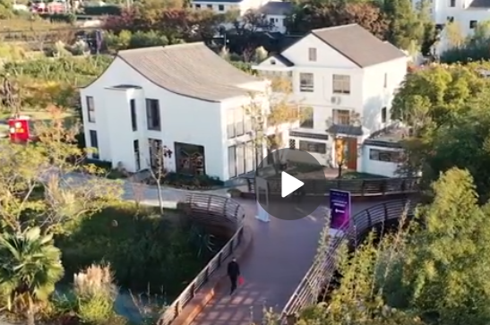 上海.png 上海.png