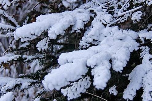 暴雪預(yù)警升級為橙色   .jpg