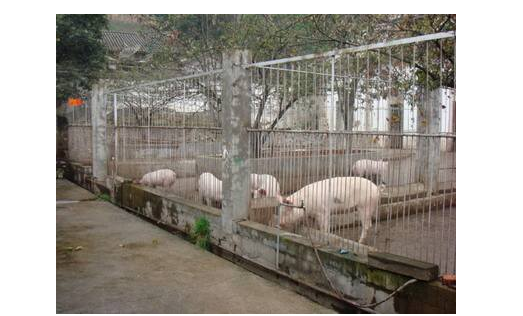 養(yǎng)殖業(yè)補(bǔ)貼