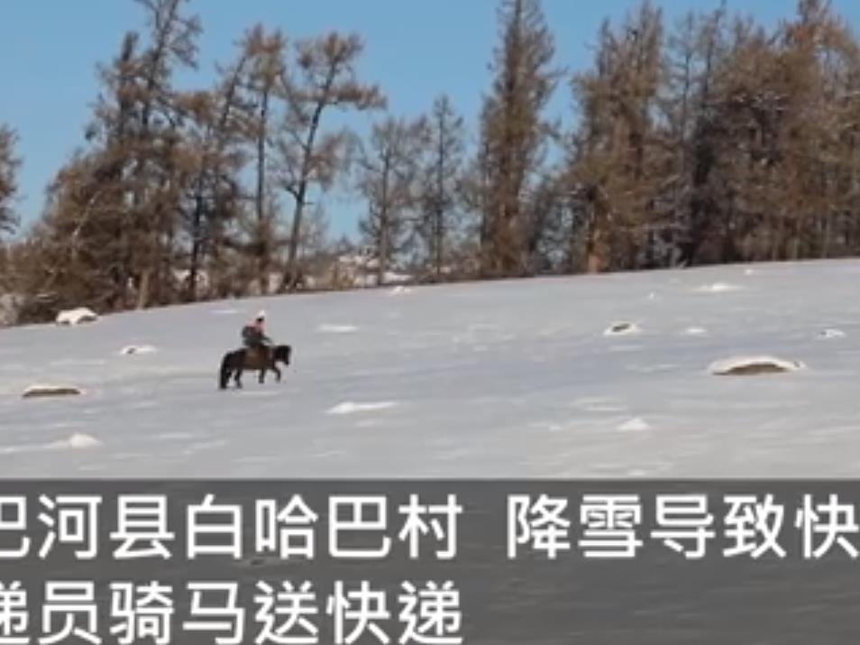 为什么新疆快递员雪地骑马送快递了,这年头快递员都化身"白马王子"了?