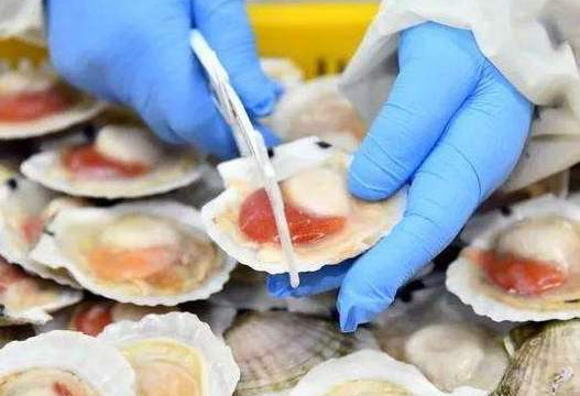 冷鏈?zhǔn)称贰?png