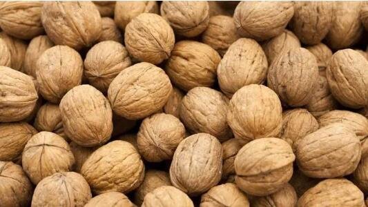 核桃價格創(chuàng)新低.jpg 核桃價格創(chuàng)新低.jpg