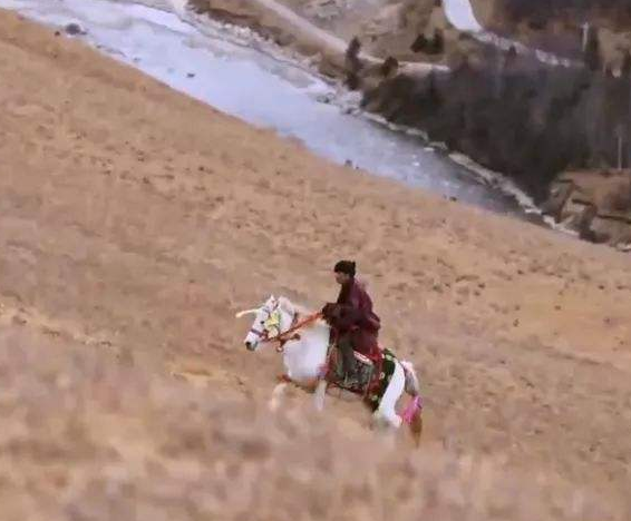 丁真.png 丁真.png