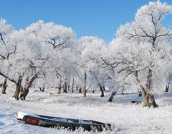 黑龍江.png 黑龍江.png