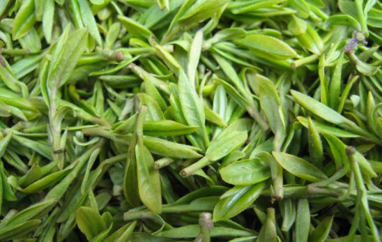 茶葉一堆.png 茶葉一堆.png