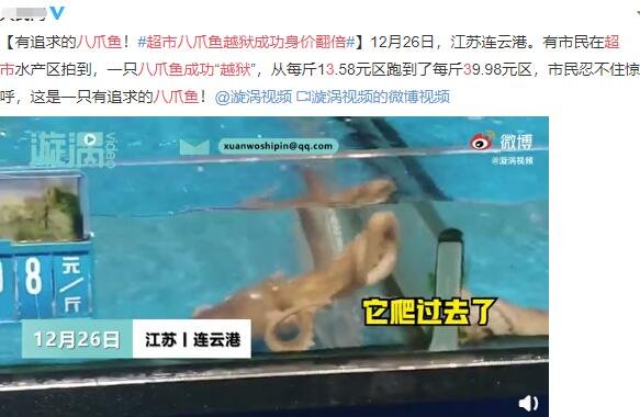 超市八爪魚越獄成功身價(jià)翻3倍.jpg