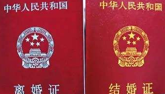 191053222nz6.png 191053222nz6.png