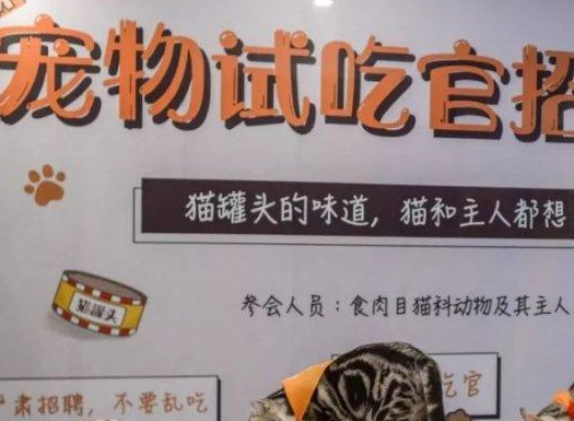 試吃官.png 試吃官.png