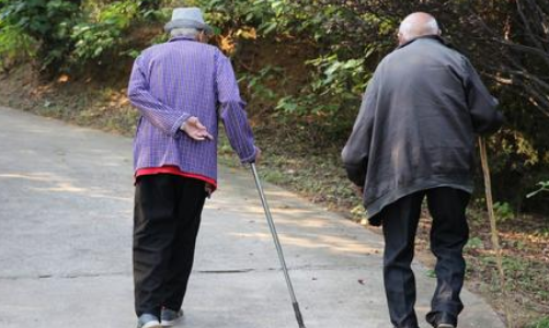 老齡化.png 老齡化.png