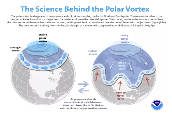 极地涡流是什么