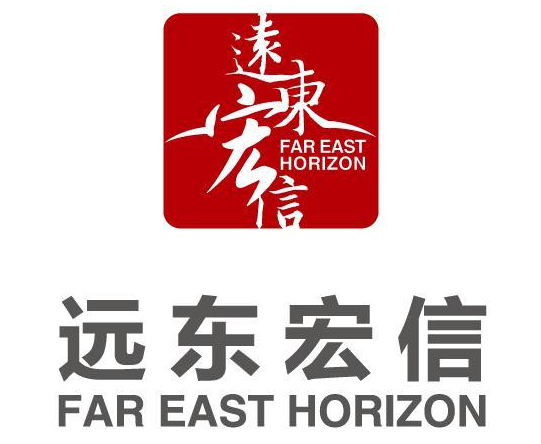 遠(yuǎn)東國際金融租賃有限公司.png