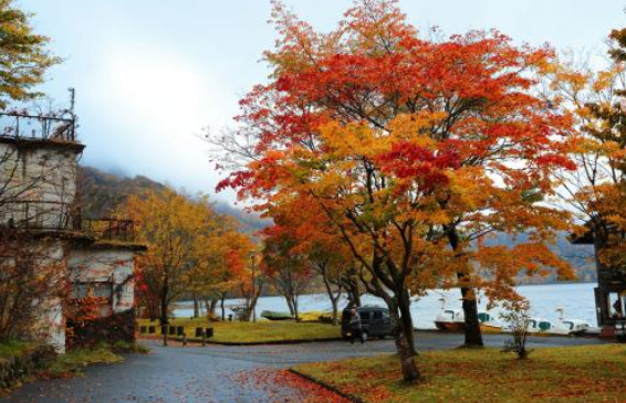 紅楓公園.png 紅楓公園.png