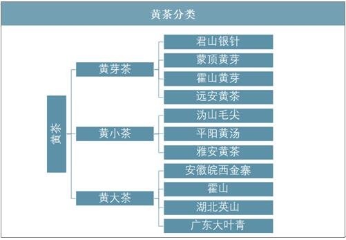 黃茶分類.jpg
