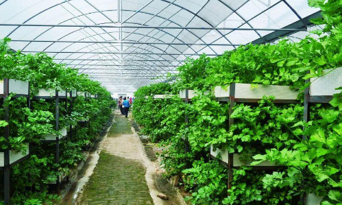 有機.png 有機.png