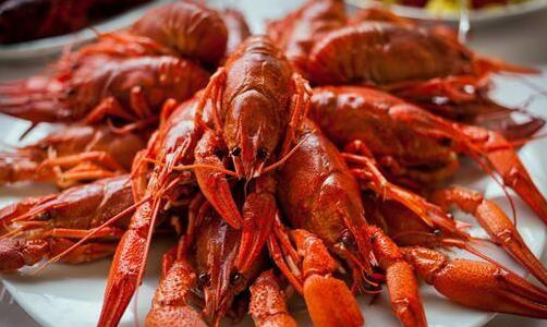 小龍蝦.png 小龍蝦.png