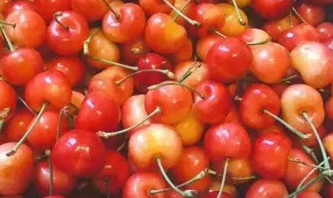 車厘子品種排名