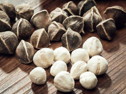 辣木籽1.png 辣木籽1.png