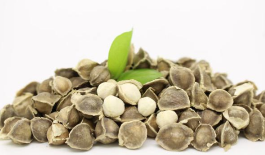 辣木籽.png 辣木籽.png