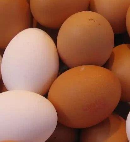 土雞蛋真的更有營(yíng)養(yǎng)嗎.jpg 土雞蛋真的更有營(yíng)養(yǎng)嗎.jpg