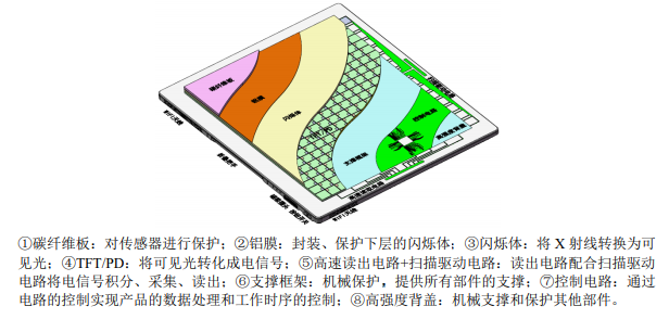 数字化 X 射线平板探测器内部结构示意.png