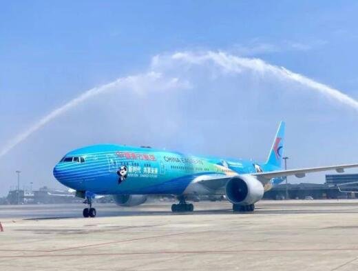 東航“進(jìn)博號”.jpg 東航“進(jìn)博號”.jpg