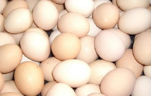鸡蛋现在多少钱一斤