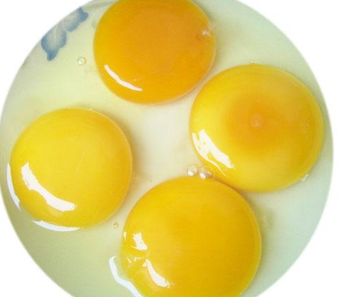 鸡蛋现在多少钱一斤
