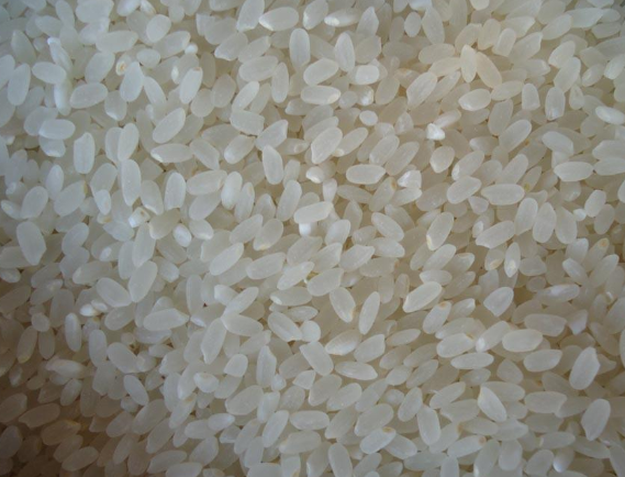 優(yōu)質(zhì)大米.png 優(yōu)質(zhì)大米.png