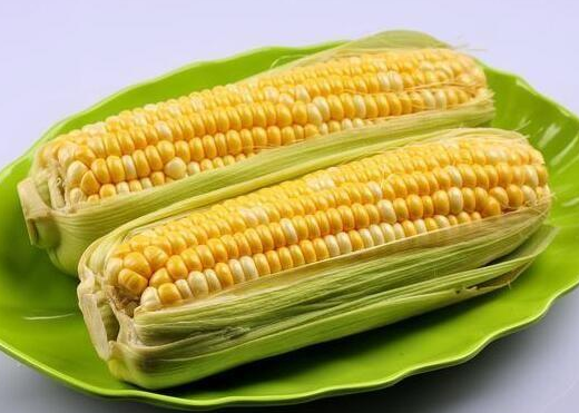 玉米種子多少錢一斤.png 玉米種子多少錢一斤.png