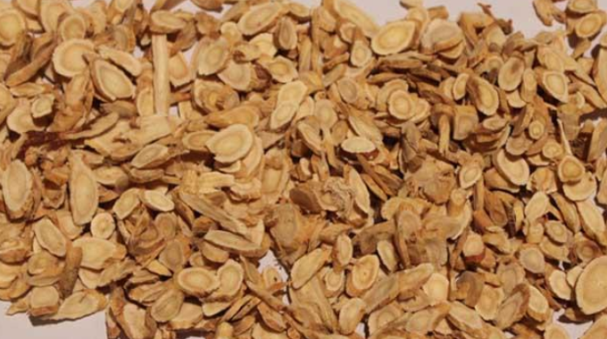 黃芪泡水喝的功效與作用