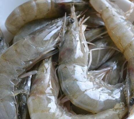 蝦怎么洗簡單又干凈.jpg 蝦怎么洗簡單又干凈.jpg