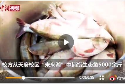 捕魚.jpg 捕魚.jpg