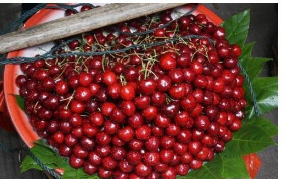 車?yán)遄颖4娣椒? alt=