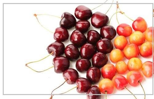 車厘子和櫻桃的區(qū)別 車厘子和櫻桃的區(qū)別