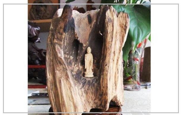 沉香木價(jià)值高嗎