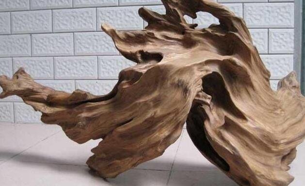 沉香木有哪些 沉香木有哪些