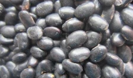 黑豆黃心和綠心哪個好.jpg