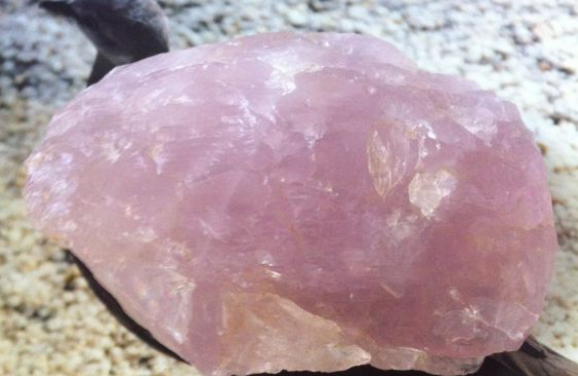 一塊粉玉髓.png 一塊粉玉髓.png