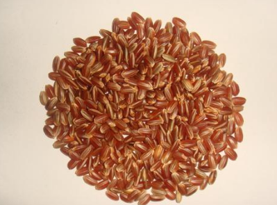 粳米和大米的区别 粳米与大米的功效与作用