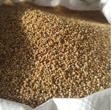 藜麥多少錢一斤