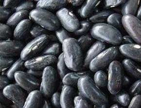 黑豆和黑蕓豆的區(qū)別.jpg 黑豆和黑蕓豆的區(qū)別.jpg